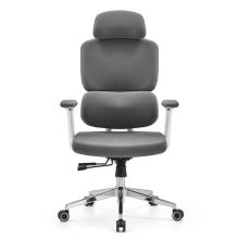 Ergomy WF 2 | Tejido | Estructura: Blanco - Silla de oficina profesional Gris