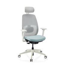 Skandis Pro | con reposacabezas | Estructura: Blanco - Silla de oficina profesional Menta / Blanco