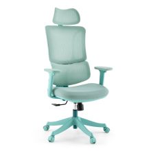 Ergomy Colore | Tejido / Malla 3D | Estructura: Multicolor - Silla Home Office Turquesa