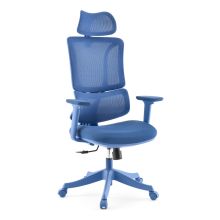 Ergomy Colore | Tejido / Malla 3D | Estructura: Multicolor - Silla Home Office Azul