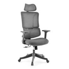 Ergomy Colore | Tejido / Malla 3D | Estructura: Multicolor - Silla Home Office Gris