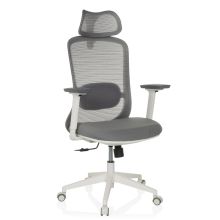 MIKEO G - Silla de oficina profesional Gris