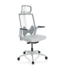 ARCEO W - Silla de oficina profesional Gris
