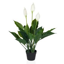 SPATHIPHYLLUM - Planta artificial Verde / blanco