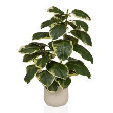 Ficus 3 - Planta artificial 