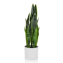 SANSEVIERIA - Planta artificial 